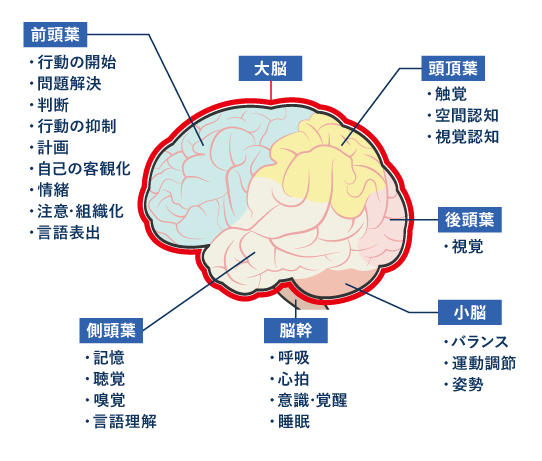 障害 症状 機能 高 次 脳