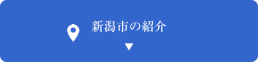 新潟市の紹介