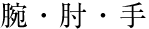 腕・肘・手