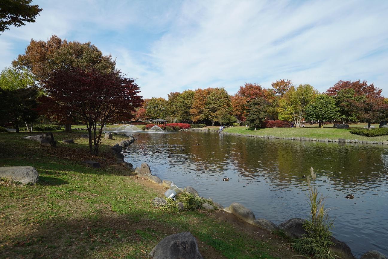 上高井郡（小布施町、高山村）