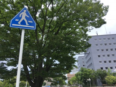 ダイヤマークの道路標示の意味をご存じですか 新潟の弁護士による交通事故の無料相談 弁護士法人一新総合法律事務所