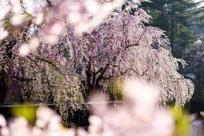 多野郡上野村 